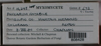 Image Associated With the Occurence